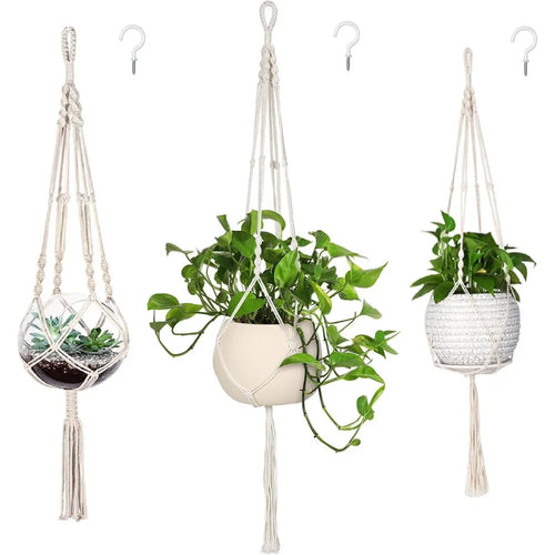 Macramé plant hanger holding a trailing green plant
